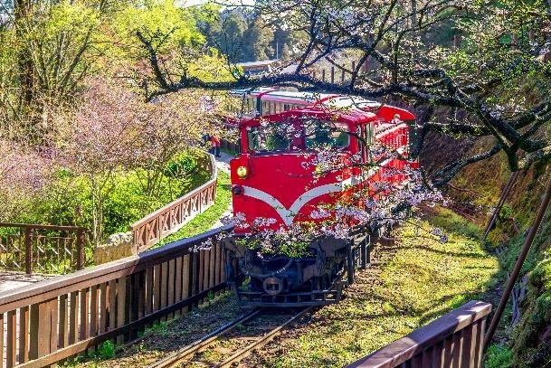 苗栗–阿里山國家森林遊樂園區(姊妹潭